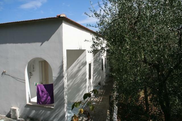 Casa Vacanze Pizzone Appartement Peschici Buitenkant foto